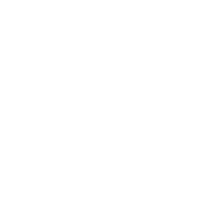 Electric Vehicle Infrastructure Icon